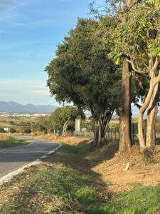 Carrer Balcó de l'Empordà.