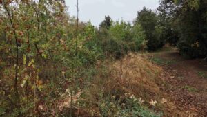 Baixada de la font abans de les actuacions de manteniment.