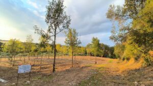 Baixada de la font després de les actuacions de manteniment.